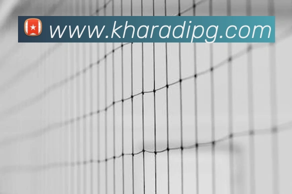 多媒体互动体验